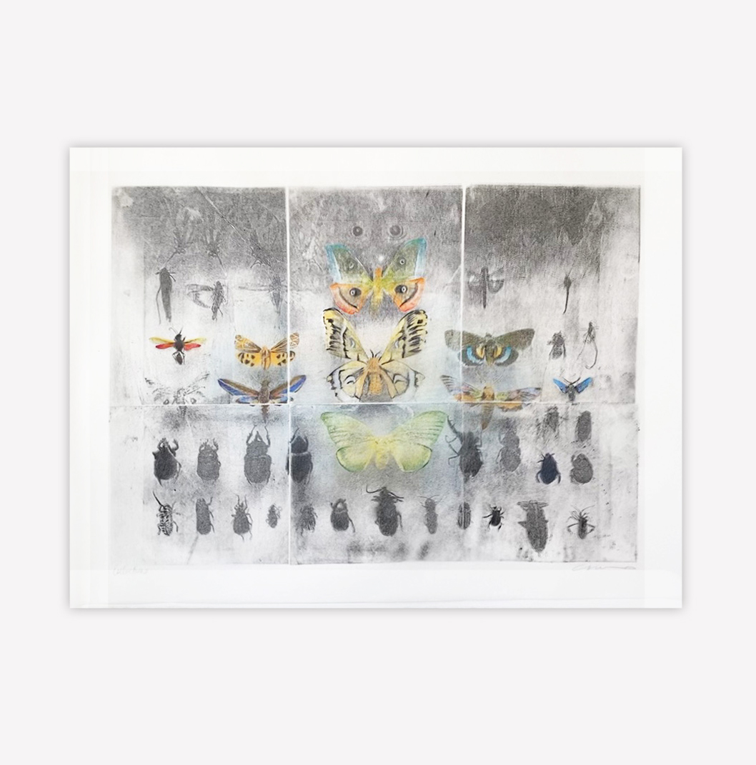 Collections, a lithograph by julie cowan