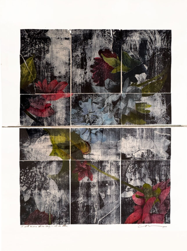 IT WILL BECOME ALL ONE THING OR ANOTHER - A LITHOGRAPH BY JULIE COWAN